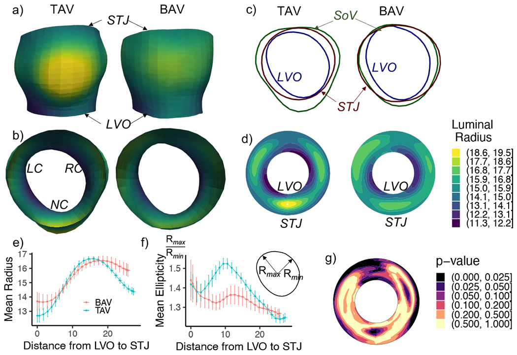 Figure 4: