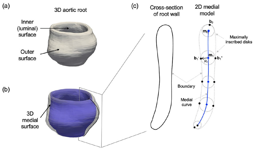 Figure 2: