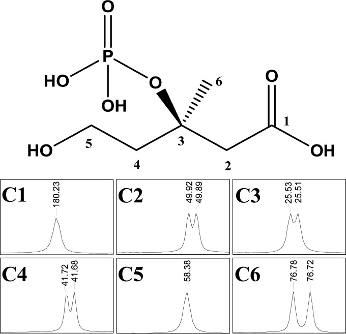 FIG 5