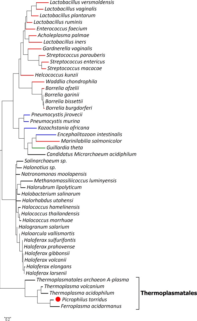 FIG 2