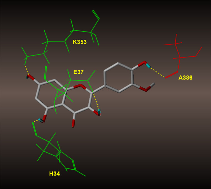 FIGURE 5