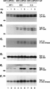 FIG. 6