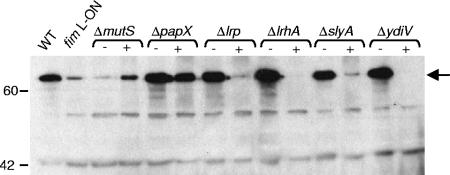 FIG. 5.