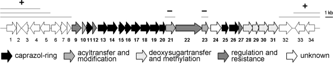 FIGURE 2.