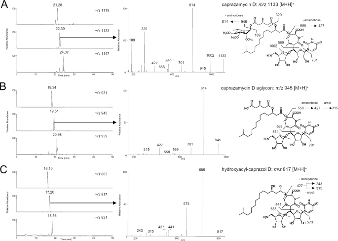 FIGURE 3.