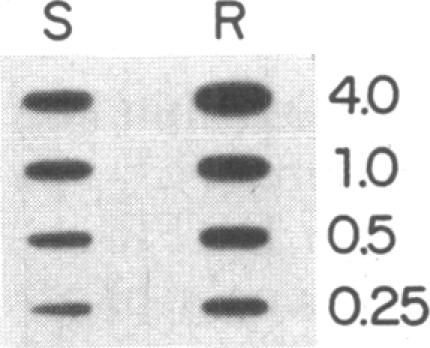 graphic file with name pnas00255-0019-d.jpg