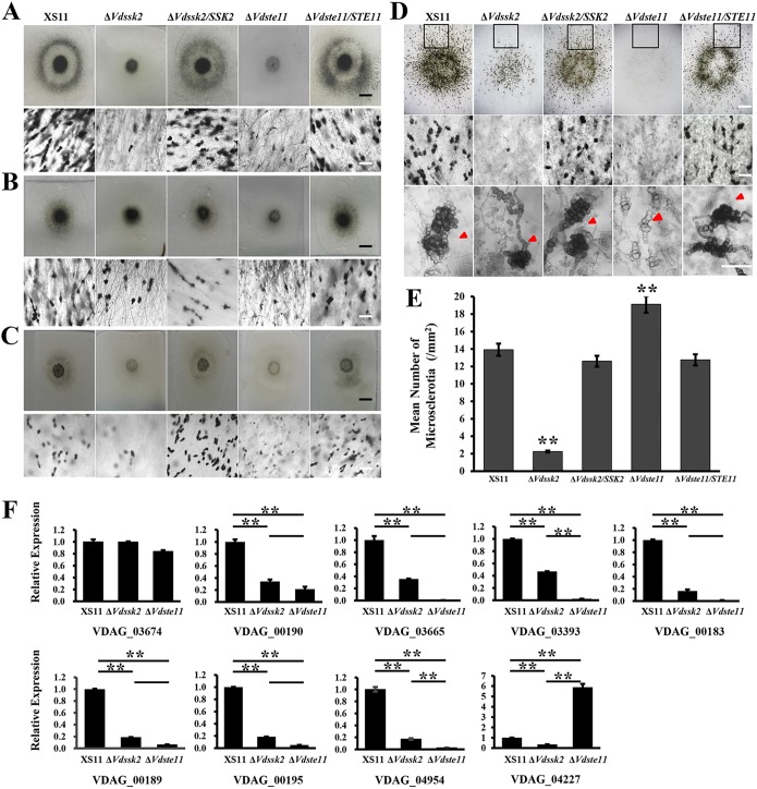 FIG 2