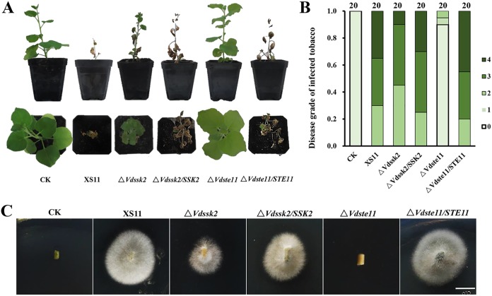 FIG 3