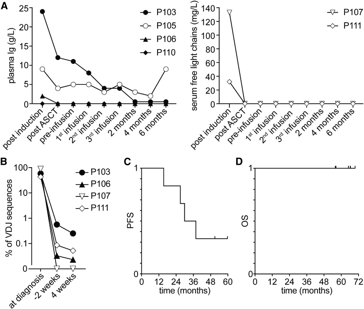 Figure 4