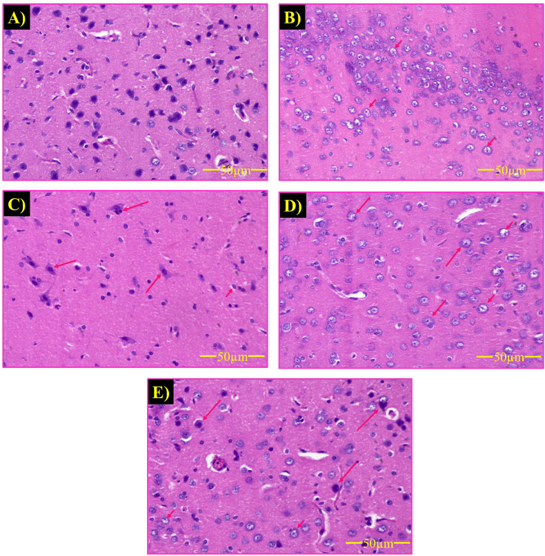 Fig. 6