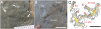 Fig 12