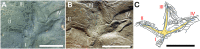 Fig 10