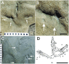 Fig 16