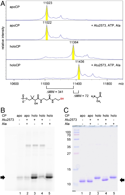 Fig. 3.