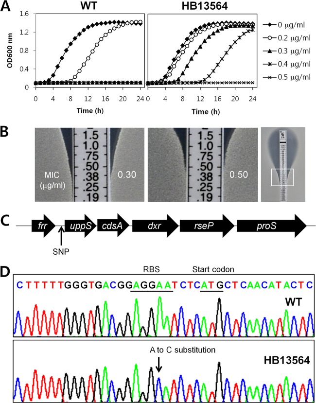 Fig 1