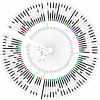 FIG 3
