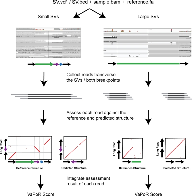 Figure 1: