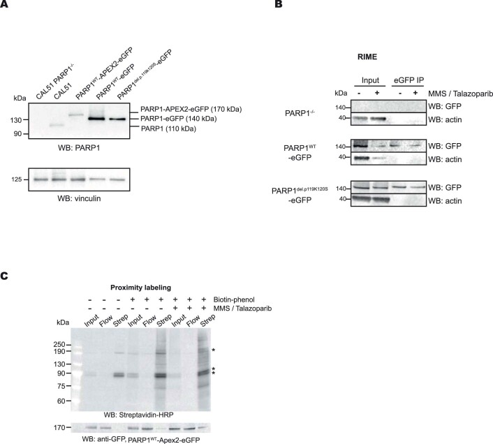 Extended Data Fig. 1