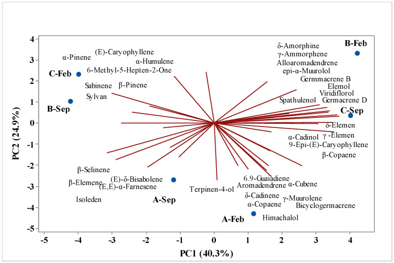 Figure 6