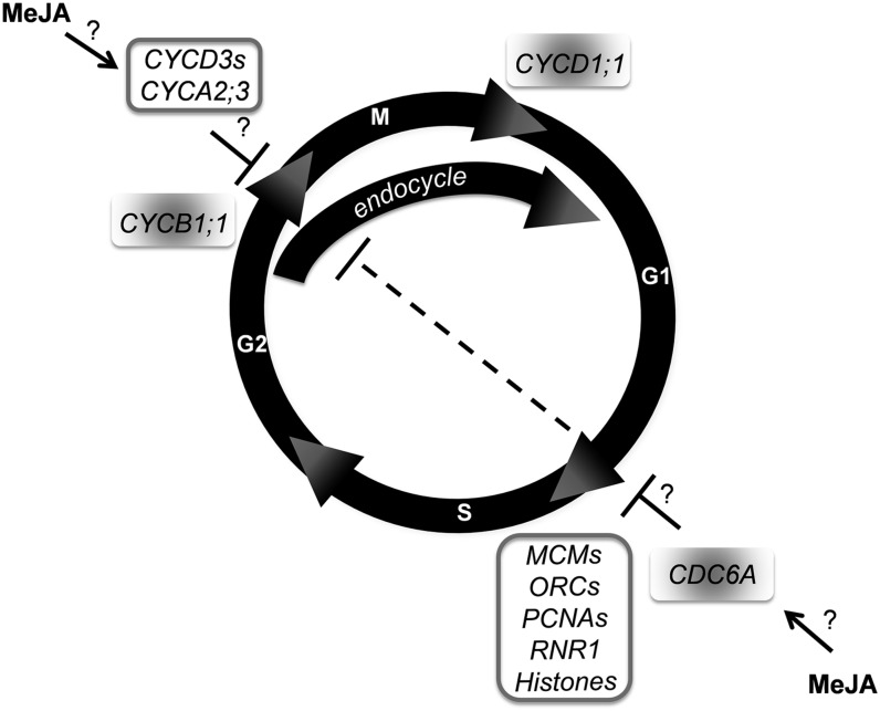 Figure 9.