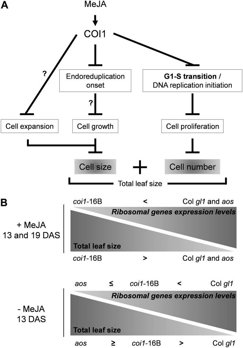 Figure 10.