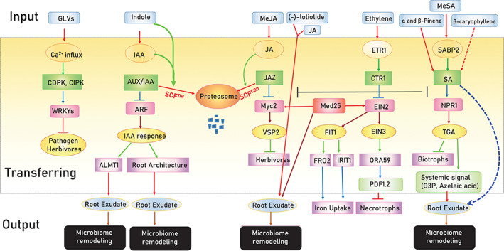 FIGURE 2