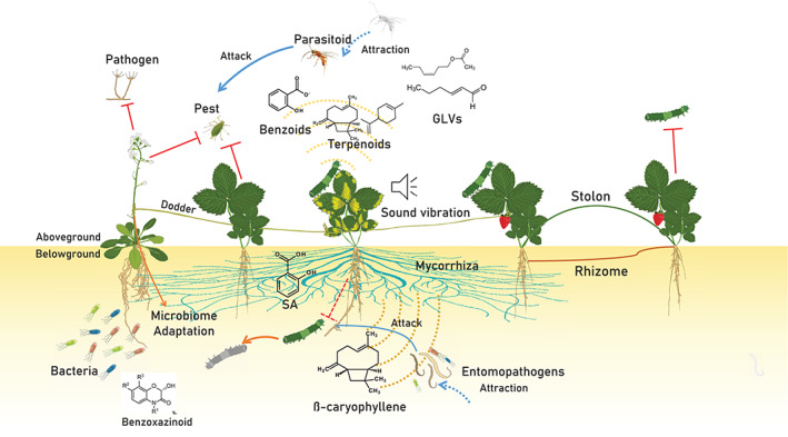 FIGURE 1