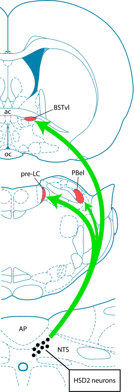 Fig. 10.