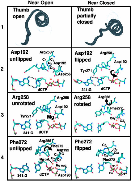 Fig. 2.