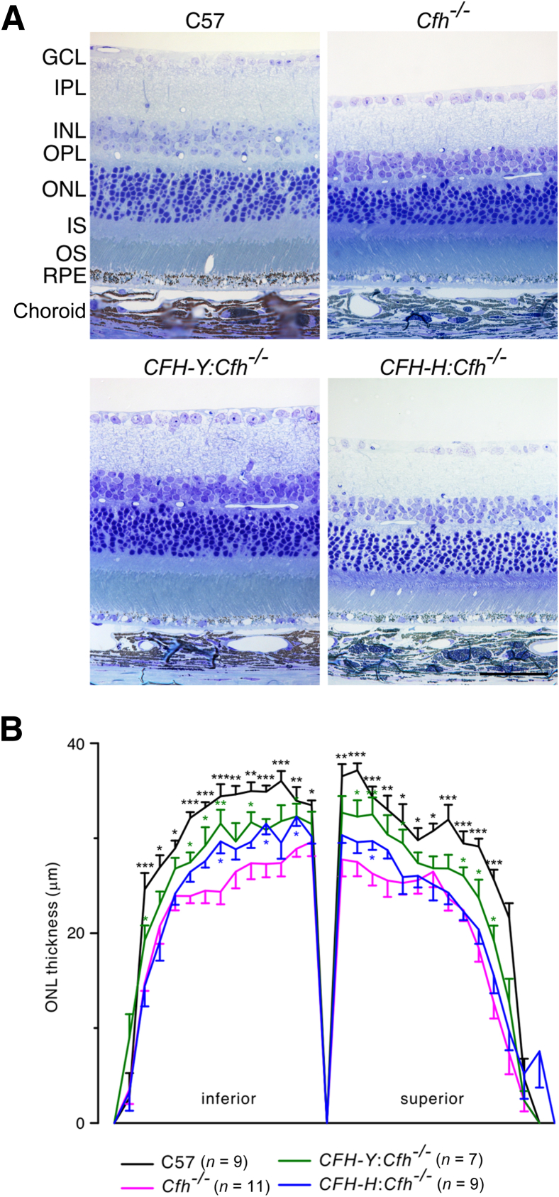 Figure 4