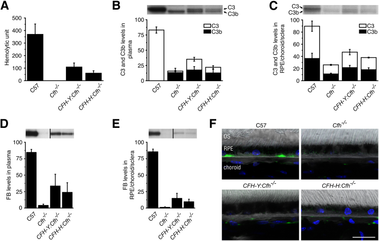 Figure 2