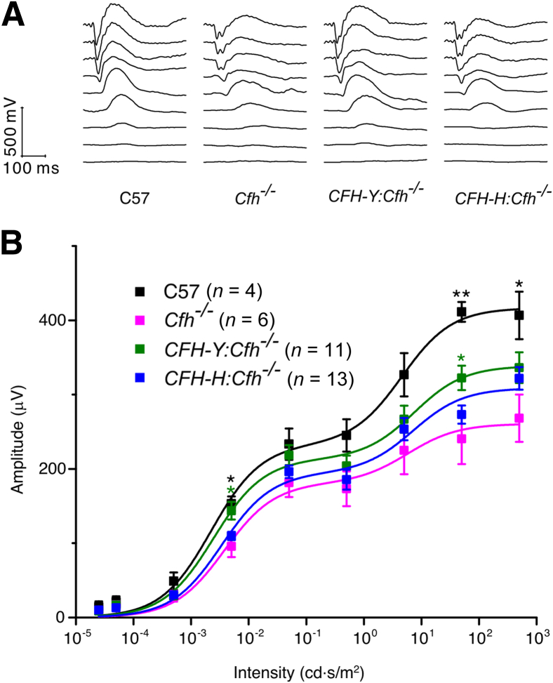 Figure 3