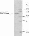 FIG. 2.