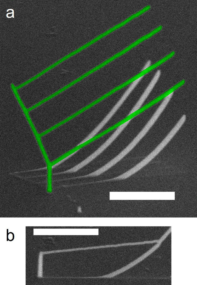 Figure 19