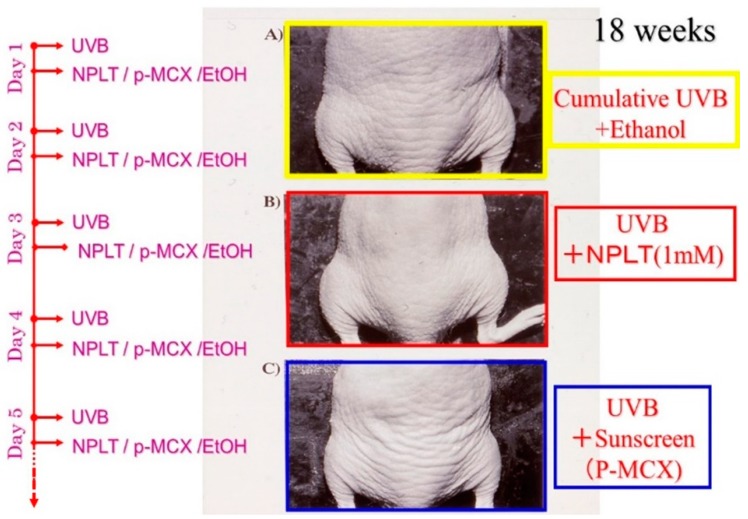 Figure 9