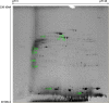 Fig 5
