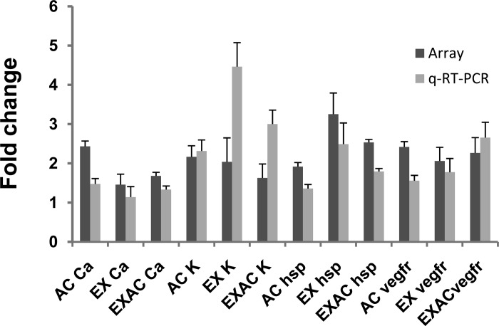 Fig. 7.