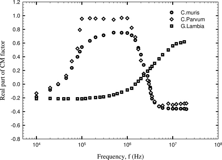 Figure 8