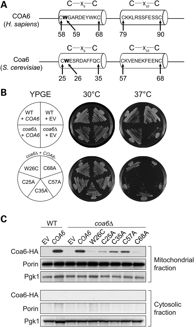 Figure 4.