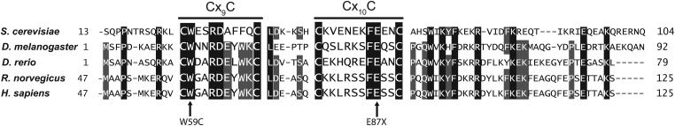 Figure 3.