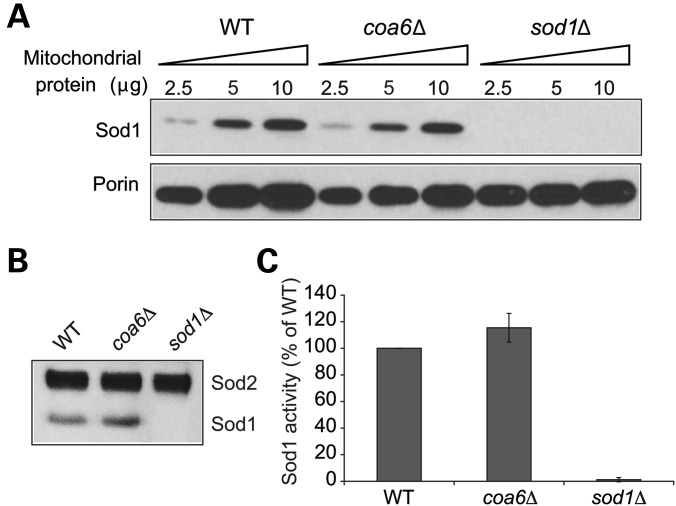 Figure 6.