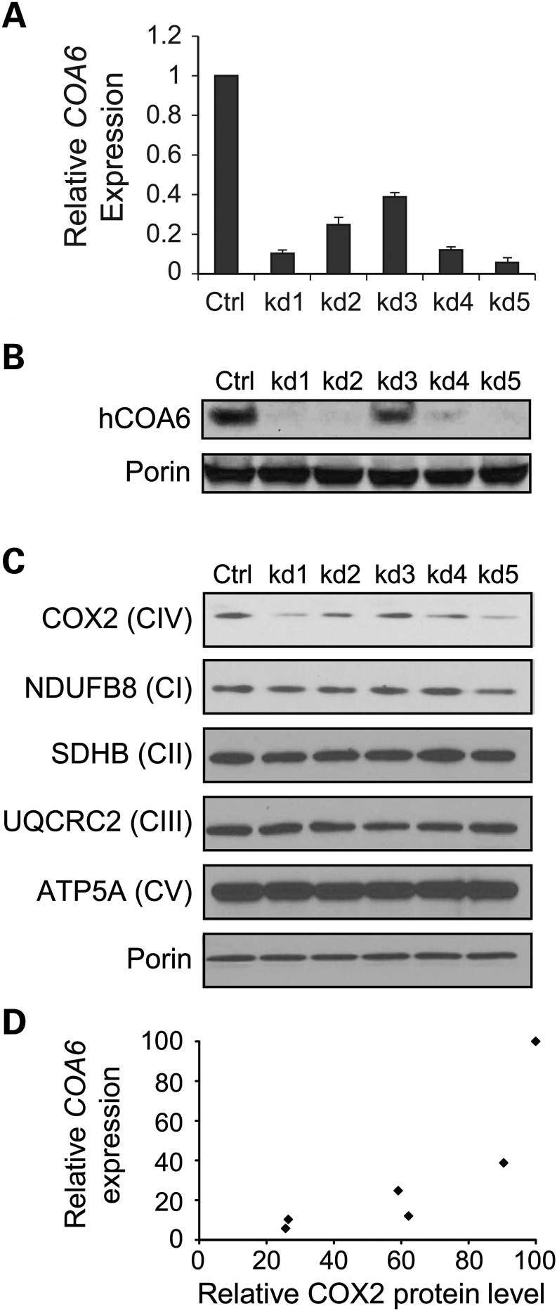 Figure 2.