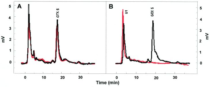 FIG. 6