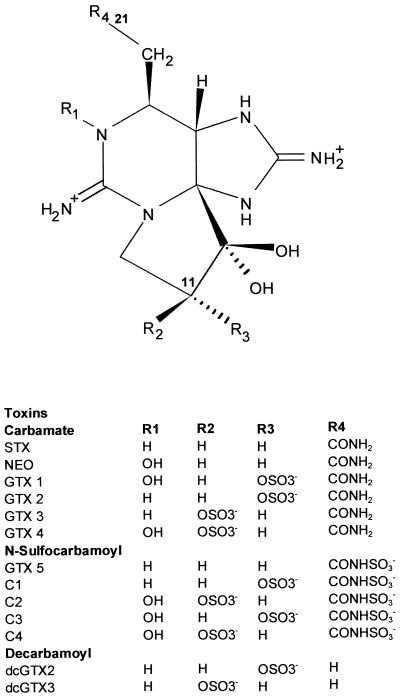 FIG. 1