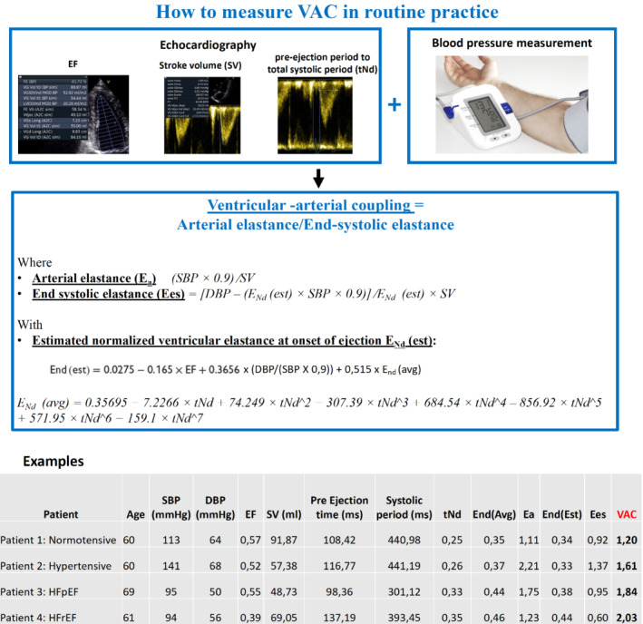 EJHF-2456-FIG-0001-c