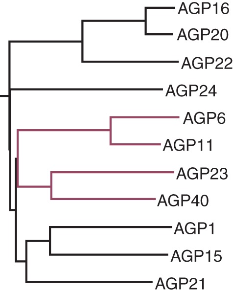 Fig. 6.