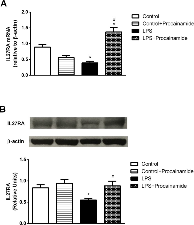 Fig 13