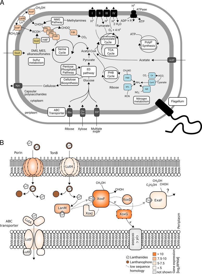 FIG 6