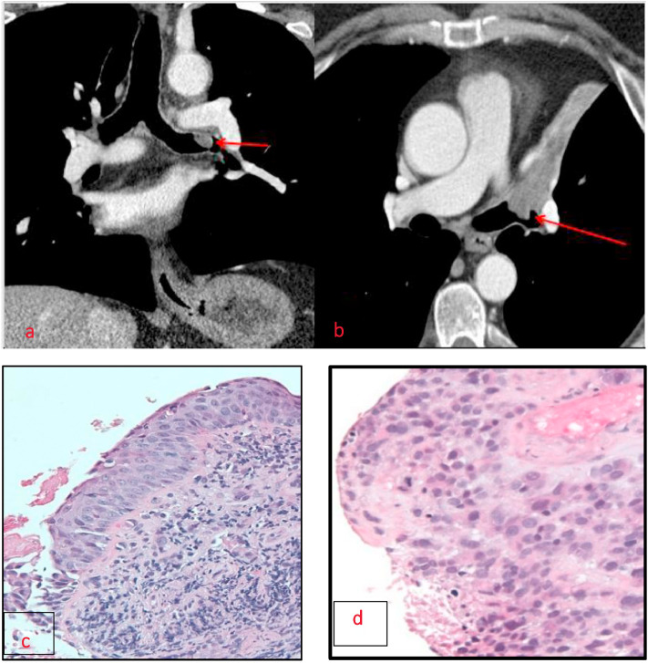 Fig 8