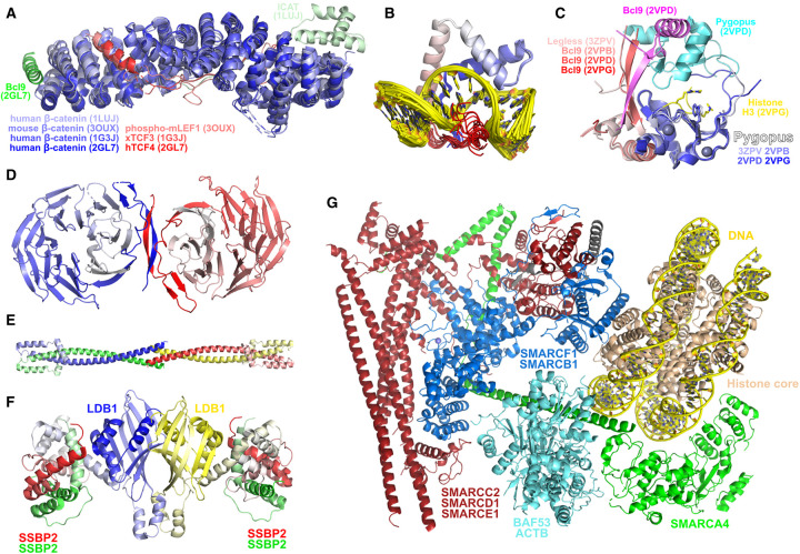 Figure 6.